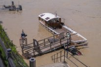 Hochwasser am Rhein, Rhyfähre